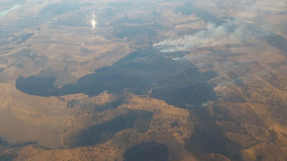 Medios aéreos y terrestres del Infoca actúan en un incendio forestal en Peñarroya-Pueblonuevo