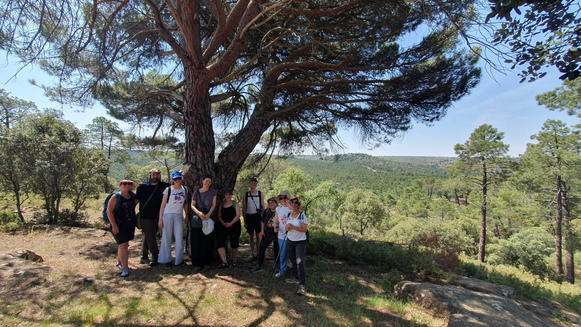 Los narradores y narradoras de la residencia creativa de Sigüenza durante un paseo por el monte