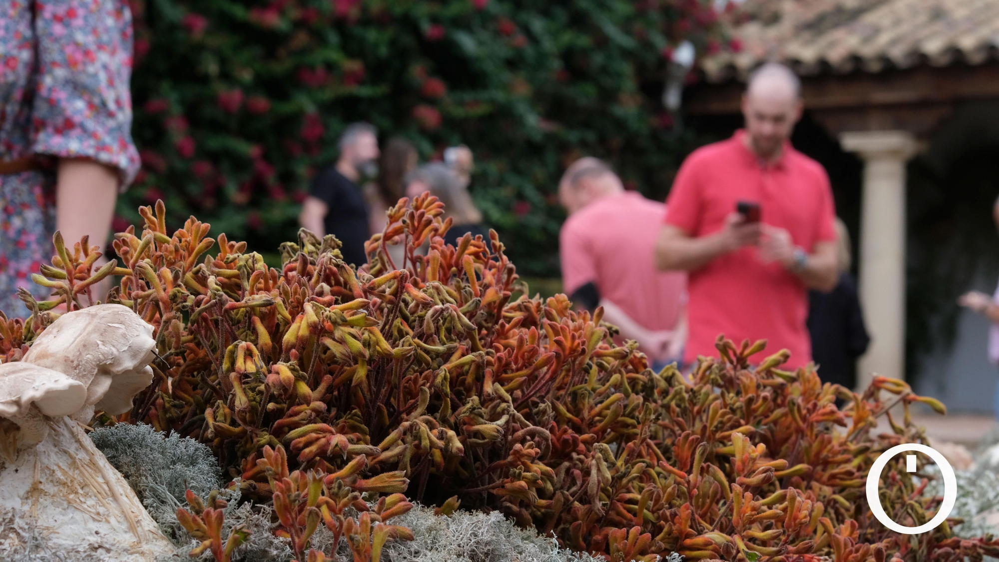 Festival de Flora 2022