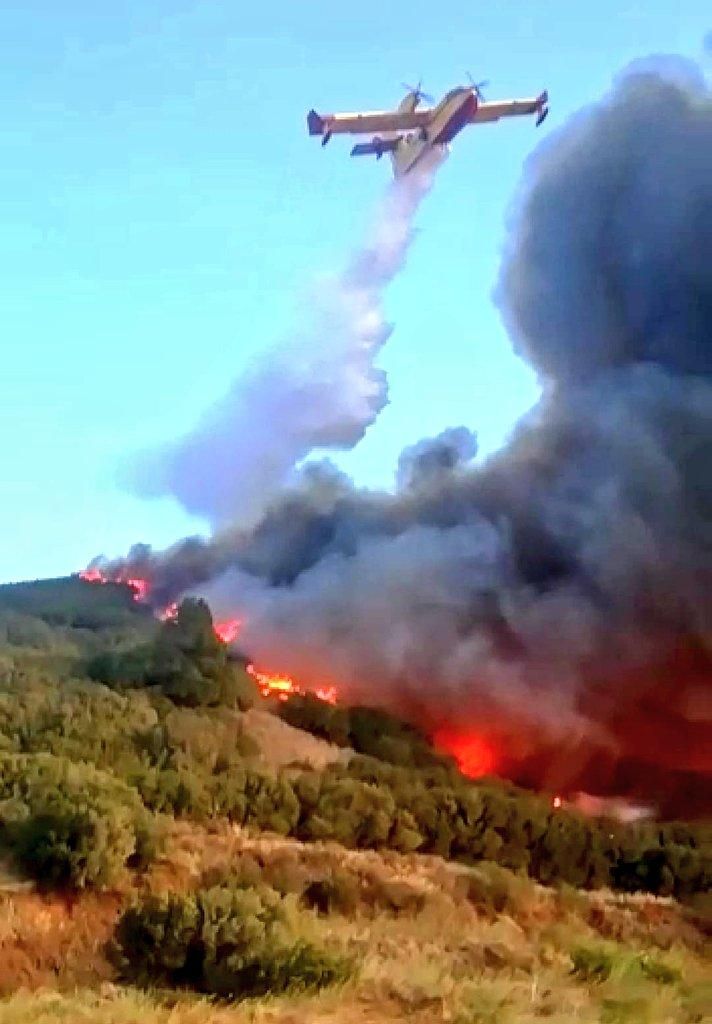 Un hidroavión realiza una descarga de agua sobre el incendio de Garafía