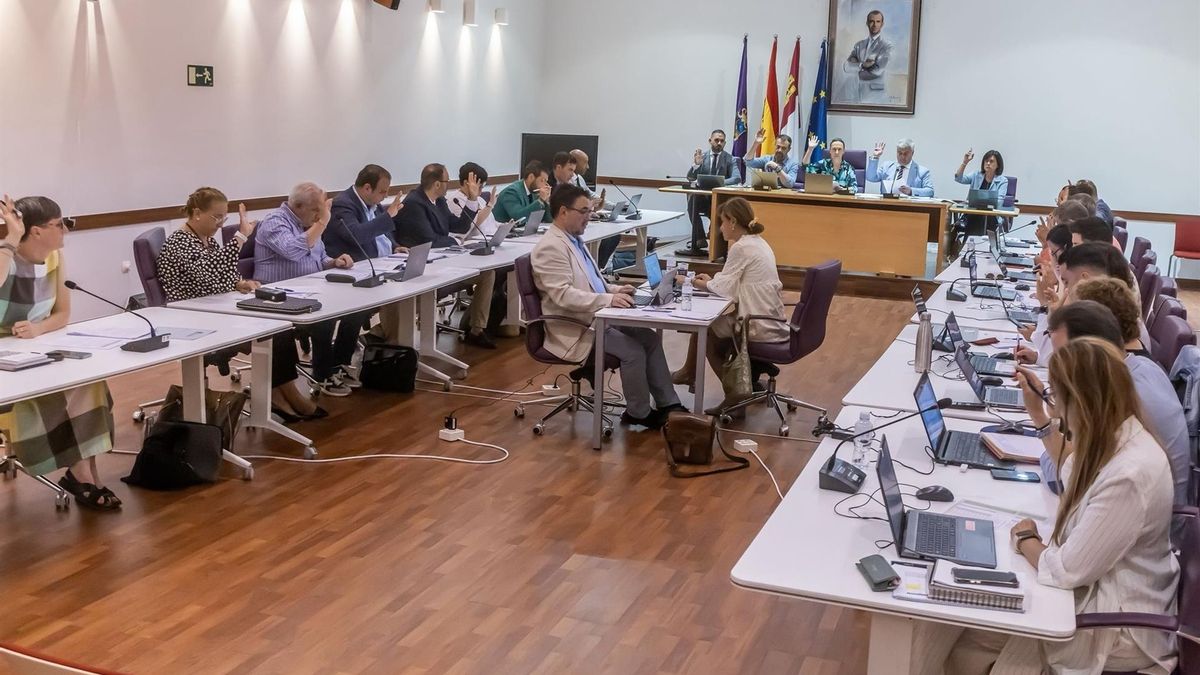 PP y Vox aprueban no sancionar a los vehículos que entren de forma irregular en la ZBE de Guadalajara hasta el 30 de abril