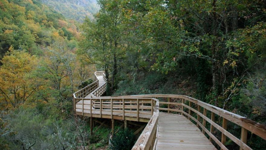 La ruta de senderismo de la Ribeira Sacra que avanza por un bosque entre pasarelas de madera sobre el agua
