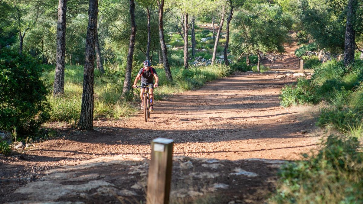 El Camí de Cavalls a pie o en bici, como prefieras.