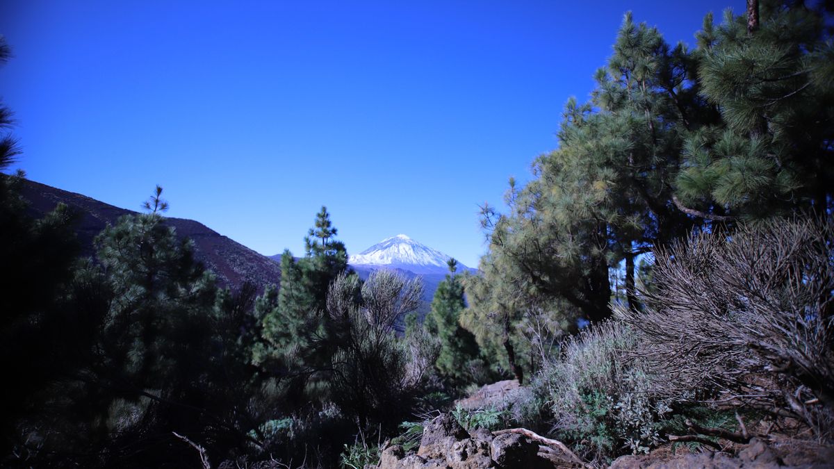 Nieve en la cumbre de Tenerife y La Palma en un jueves nuboso y frío, según la Aemet