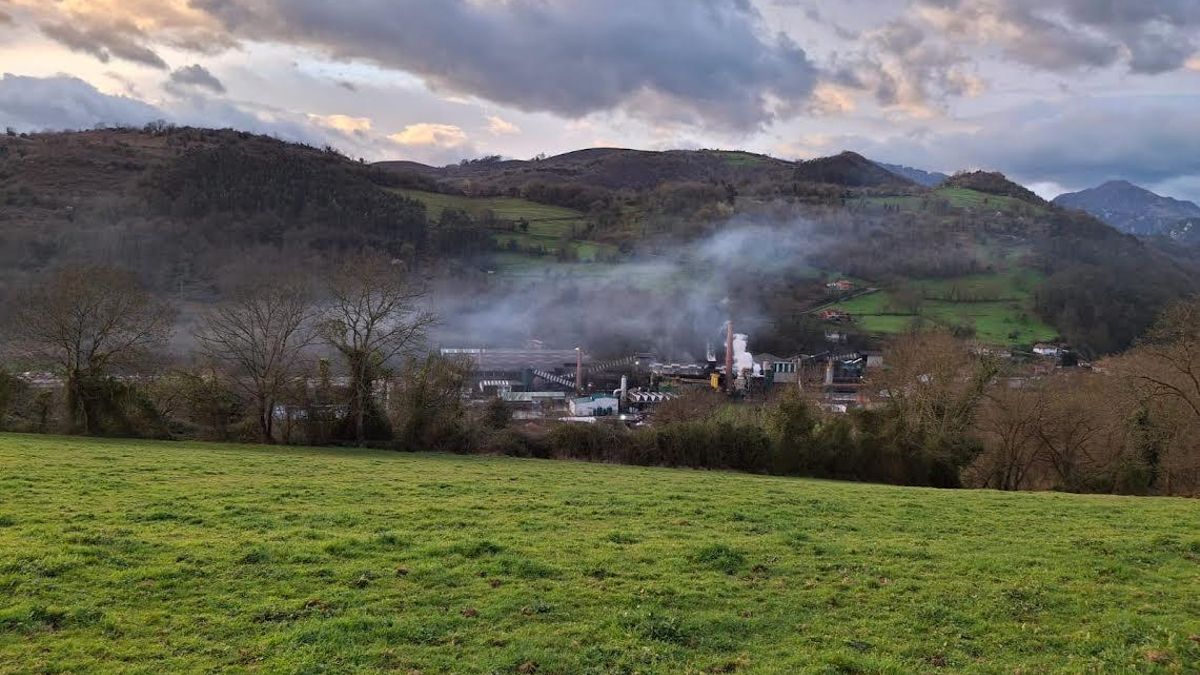 La Coordinadora Ecoloxista denuncia que el Principado no activa los protocolos cuando se dispara la contaminación