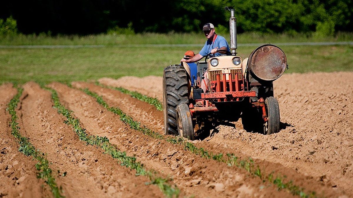 Imagen de archivo de un agricultor en su tractor