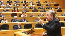 El portavoz del PP en el Senado, José Manuel Barreiro