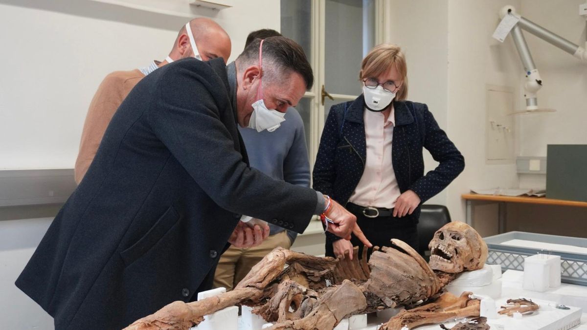 Un proyecto para localizar y estudiar el patrimonio canario que salió de las Islas, como una momia guanche en Austria