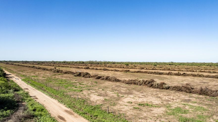 La Legislatura de Chaco suspende su última sesión y pone en pausa al debate sobre el desmonte en la provincia