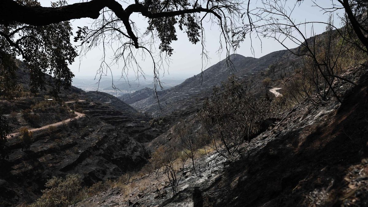 Los bomberos avanzan en el perímetro del incendio de La Vall d'Uixó, que sigue sin darse por estabilizado y arrasa 9.600 hectáreas en seis días