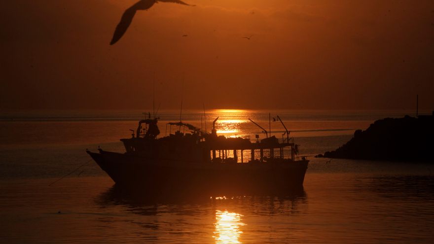 Oceana pide que se proteja de forma estricta el 10 % de la superficie marina en España