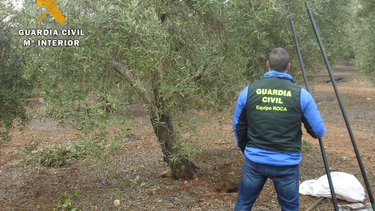 Archivo - Equipo Roca de la Guardia Civil.