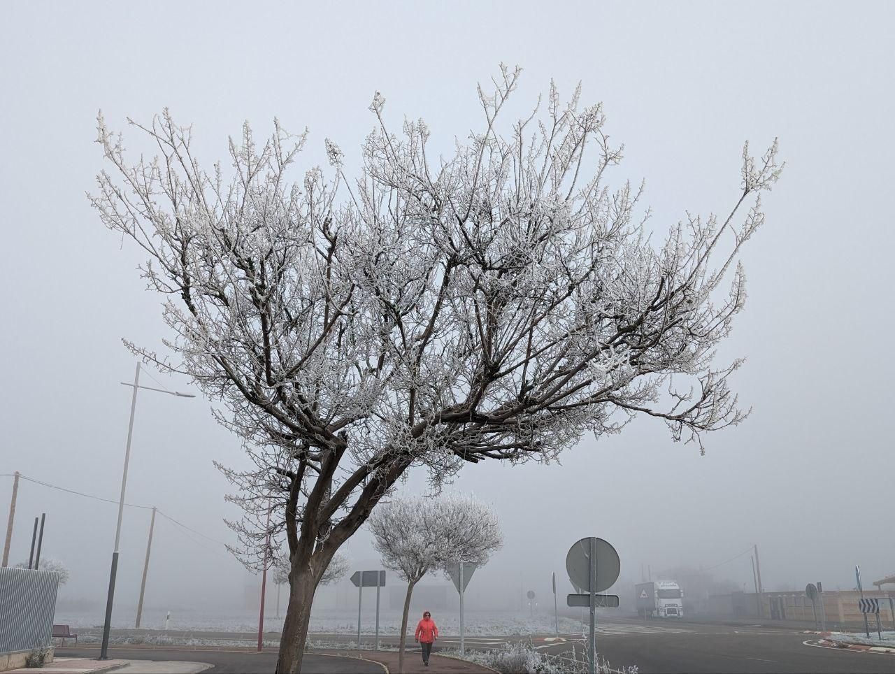 La cencellada pinta de blanco la comarca del Páramo leonés