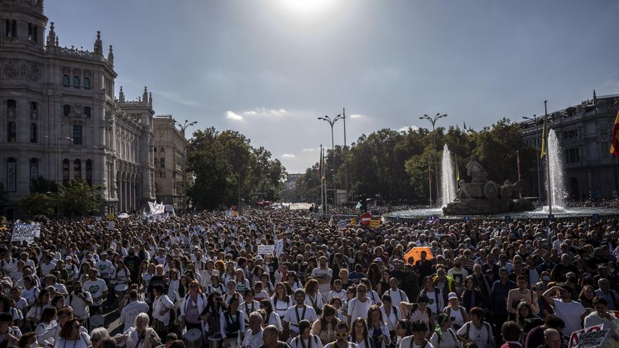 Cientos de miles de personas en la manifestacion "Madrid se levanta por la sanidad publica".
Foto: Olmo Calvo