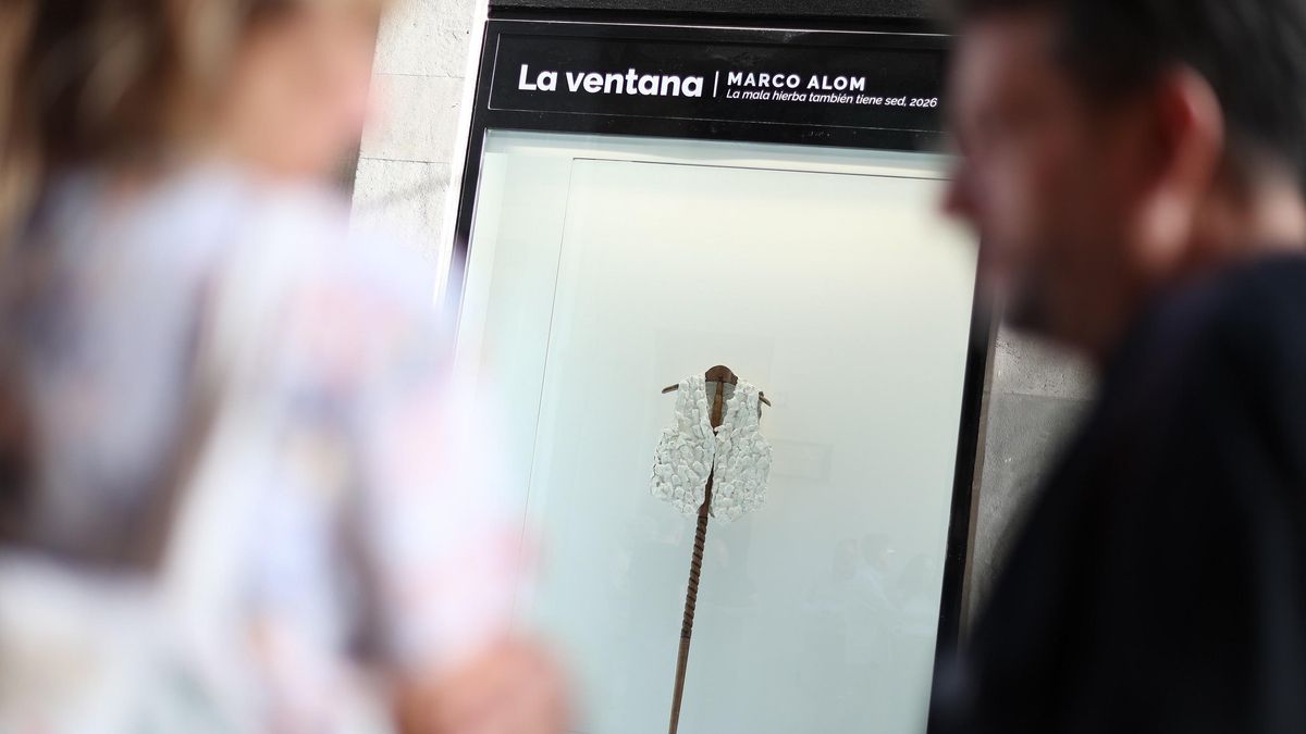 El artista Marco Alom presenta ‘La mala hierba también tiene sed’ en el Círculo de Bellas Artes de Tenerife