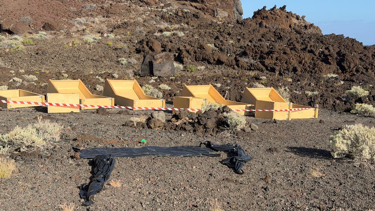 Bolsas de plástico junto a las tumbonas en Tacorón (El Hierro).