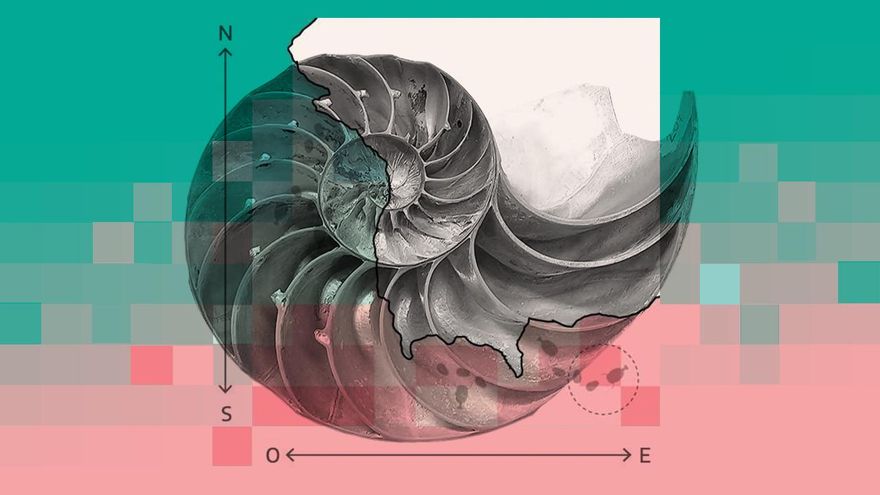 Vivir en la costa ‘equivocada’ te conduce a la extinción: descubren las “trampas de latitud” que moldearon la vida marina