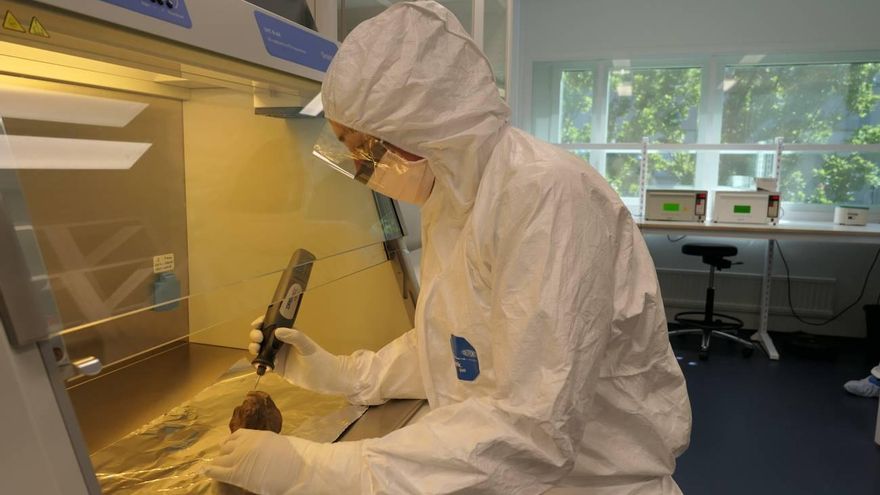 Edana Lord probando ADN de rinocerontes lanudos en un laboratorio.