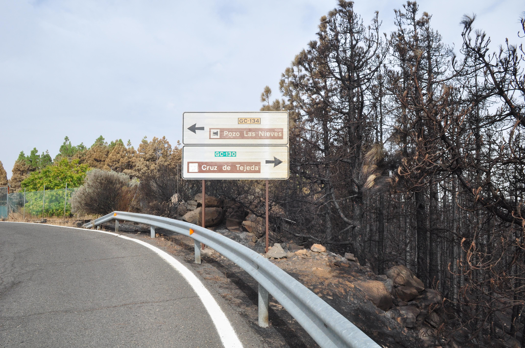 Efectos del incendio en Gran Canaria. (Ángel Sarmiento).