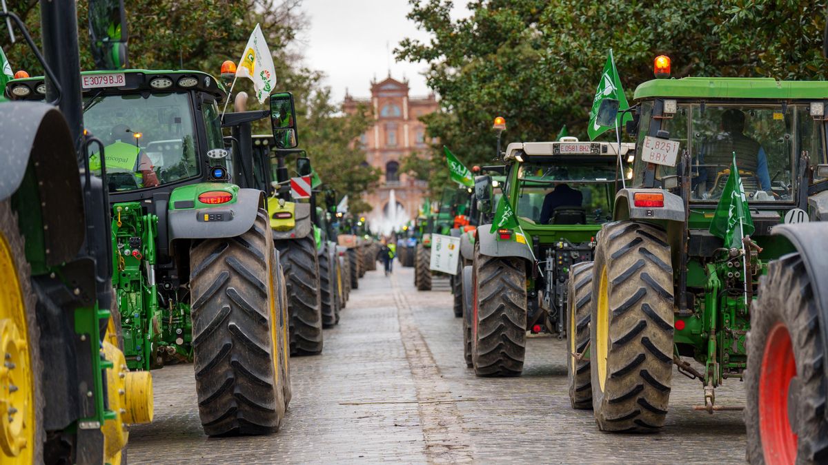 La tractorada toma las calles de Sevilla y pide al Gobierno que "defienda al campo andaluz" frente a Mercosur