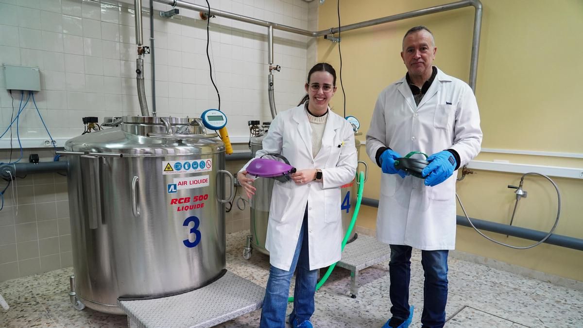 El banco de la biomedicina y la reproducción animal, una joya de la Universidad de León