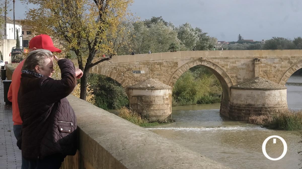 Así va el río Guadalquivir a su paso por Córdoba después de las últimas lluvias