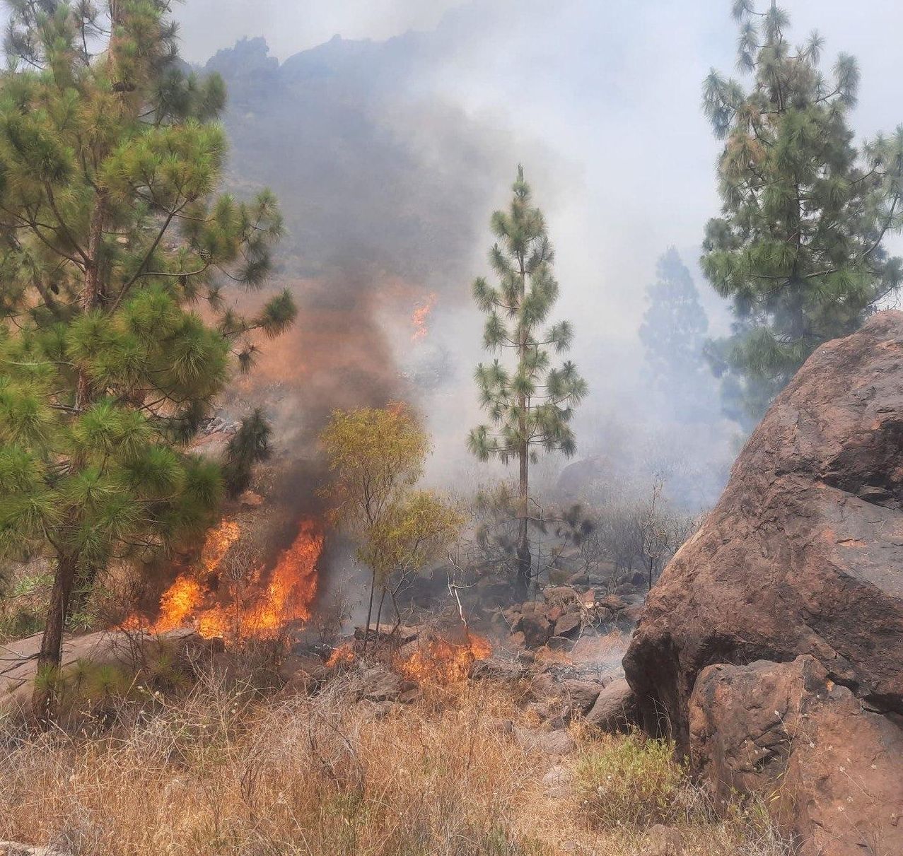 Conato de incendio cerca de la presa del Mulato, en Gran Canaria