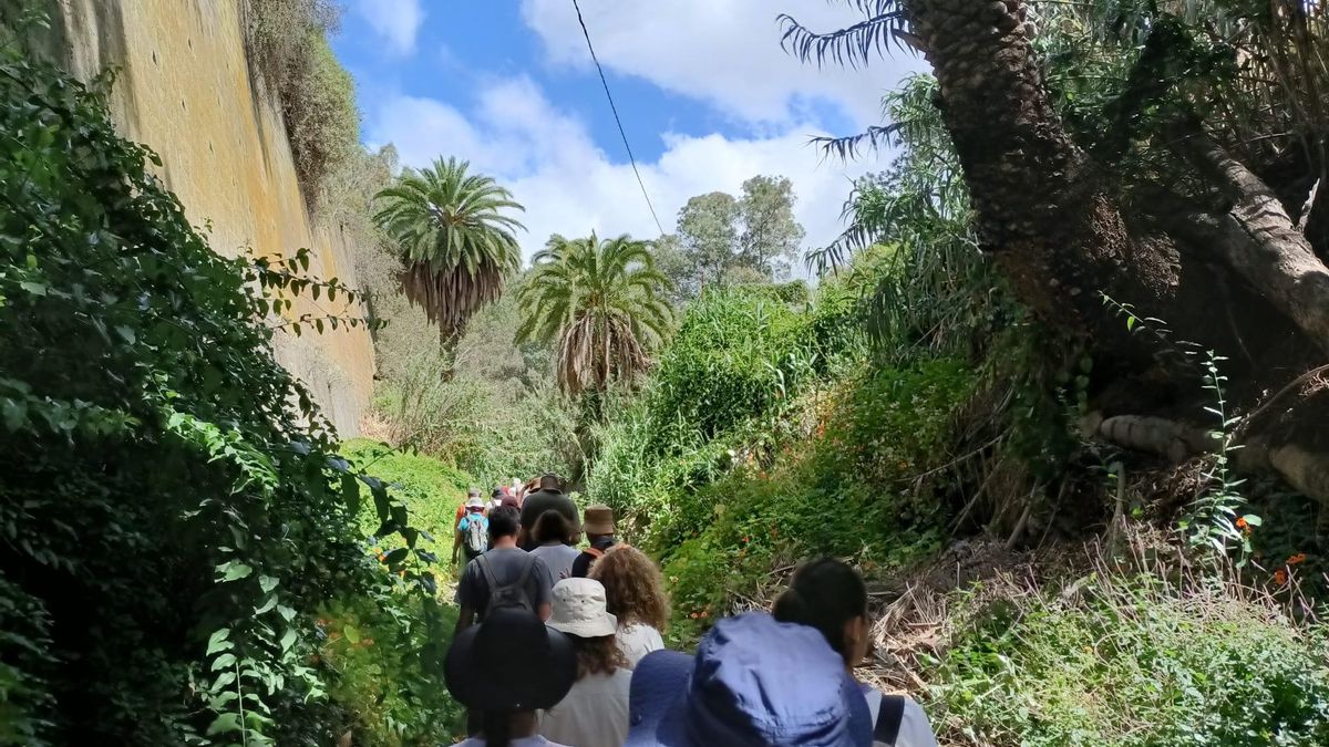 Santa Brígida convoca al sector turístico a presentar el Plan de Sostenibilidad  2027-2030