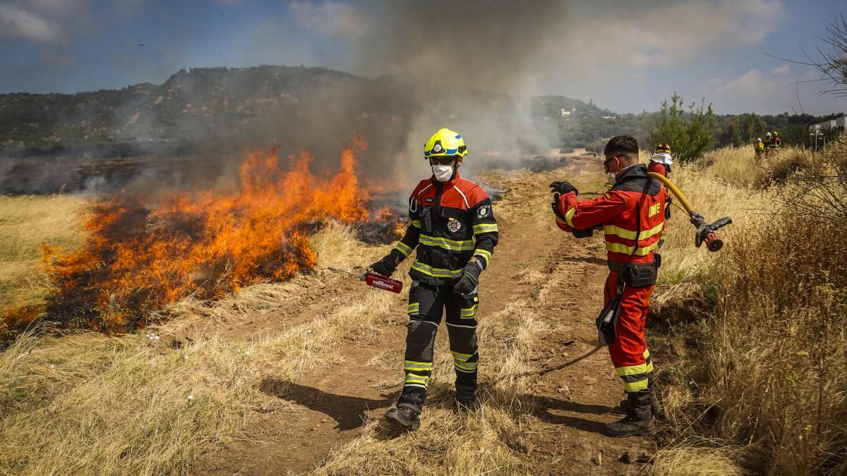 Quema controlada en El Patriarca