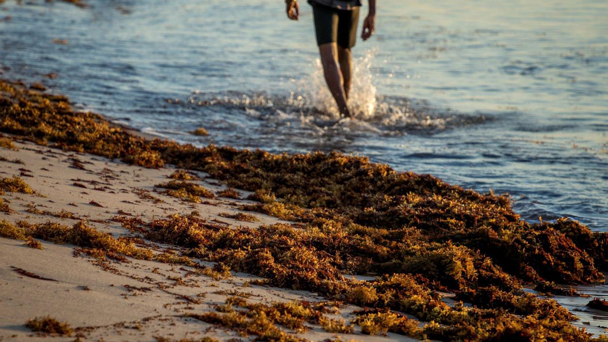 Las autoridades detectan focos en otras regiones y aplican protocolos