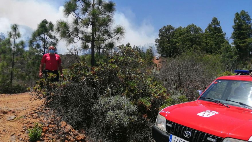 Incendio en Arico. (Cabildo de Tenerife)
