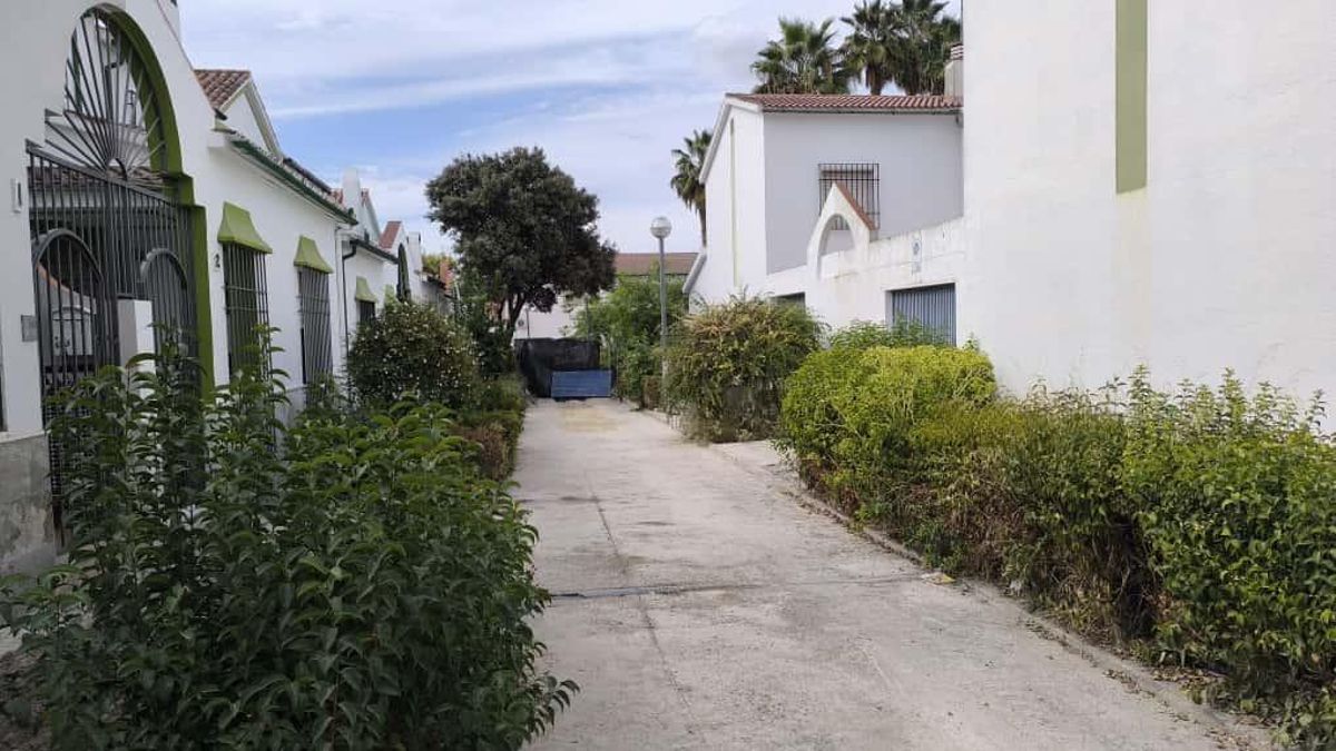 Plaza Juan Ruiz de Castroviejo de Lucena donde han aparecido los restos.