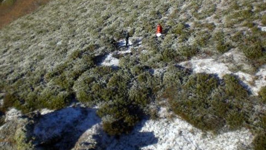 Lugar donde se encontró al montañero desaparecido. Foto: Emergencias 112 jcyl.es