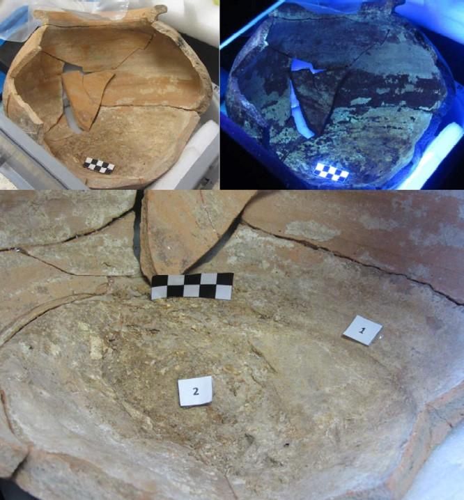 Restos orgánicos en urna