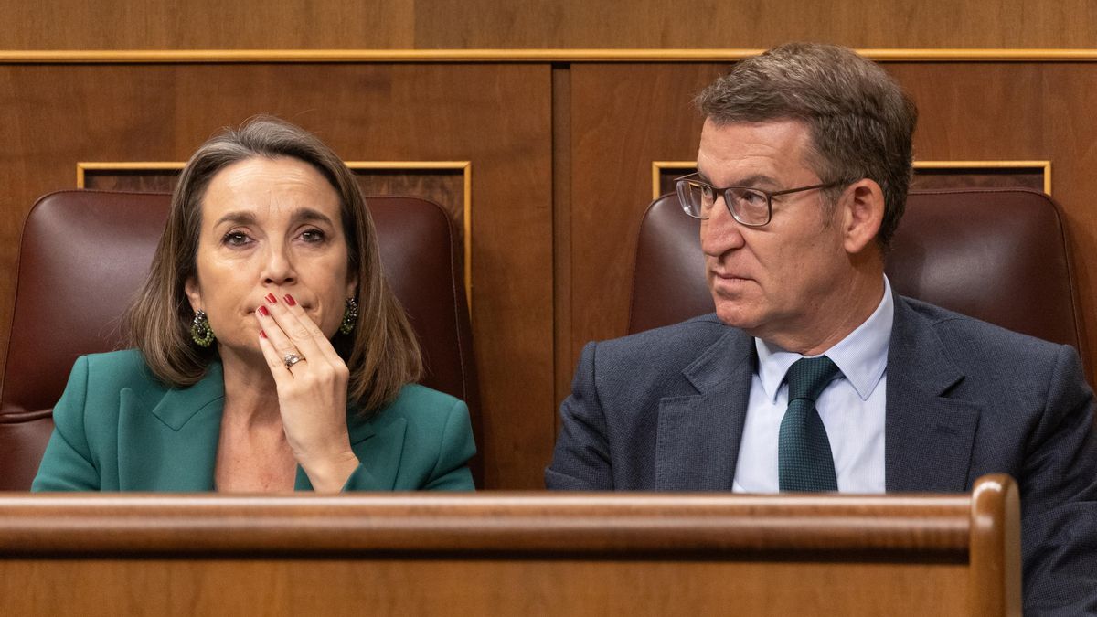 La secretaria general del PP, Cuca Gamarra y el presidente del PP, Alberto Núñez Feijóo, durante una sesión de control al Gobierno, en el Congreso de los Diputados, a 13 de diciembre de 2023, en Madrid (España). El Congreso celebra su primera sesión de co