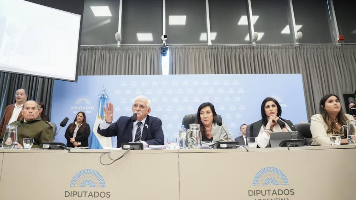 Organismos de DDHH, periodistas y excombatientes reclaman participar en el debate de la ley de Soberanía de Milei