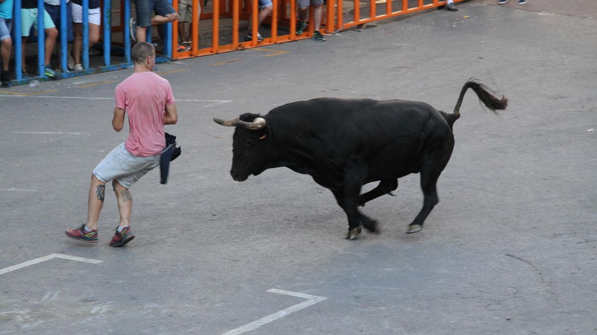 Bous al carrer en Vilafamés en una imagen de archivo.