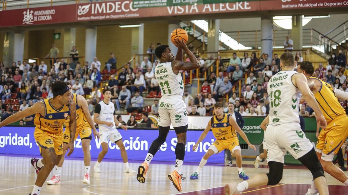 Cajasol Coto Córdoba - Cajasiete Gran Canaria