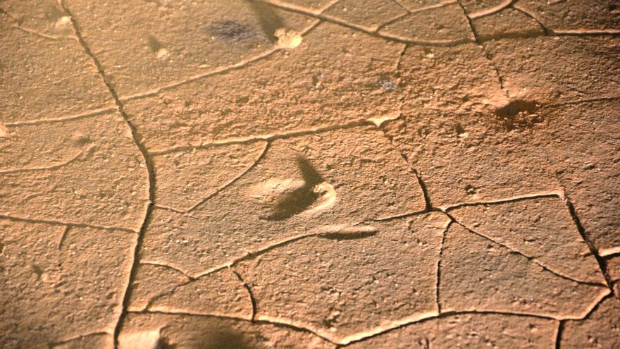 Huellas de talones y codos infantiles en una sala de la cueva de La Garma (Cantabria).