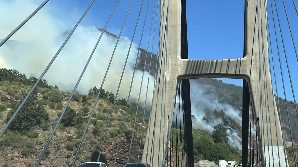 León mantiene dos incendios activos mientras los fuegos con superficie conocida suman 730,36 hectáreas quemadas