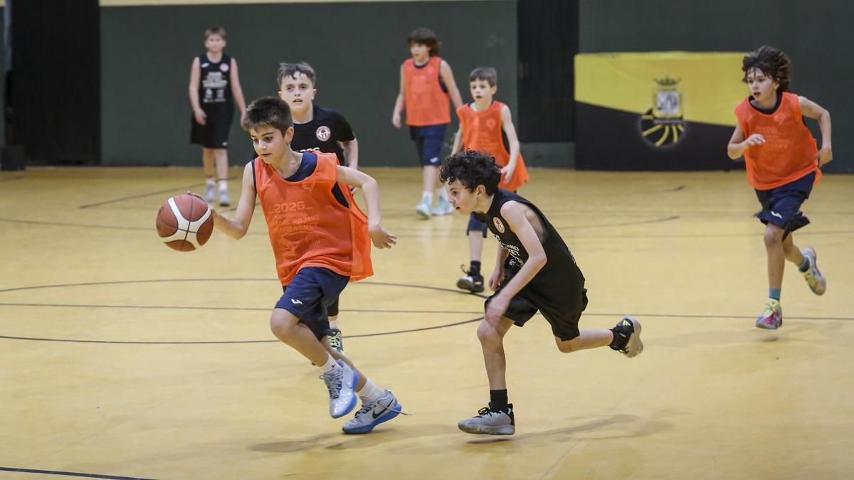 Memorial Rafael Rojano de Minibasket