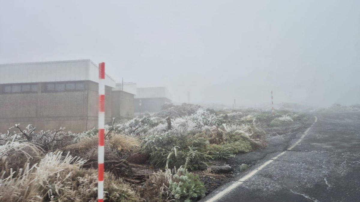 Paisaje invernal protagonizado por las cencelladas  este martes en las cumbres de La Palma.