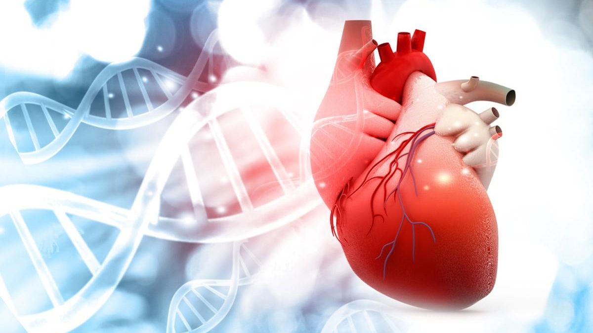 Día mundial del corazón