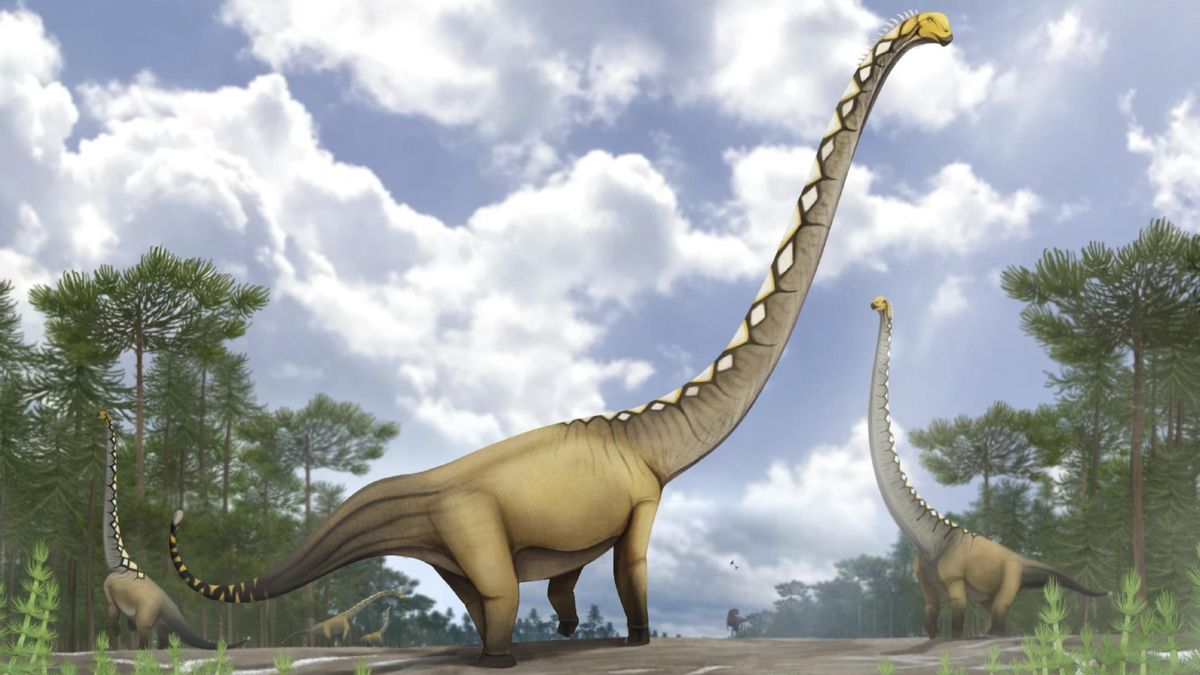 Identifican en Tailandia una nueva especie de dinosaurio de cuello largo a partir de una única vértebra