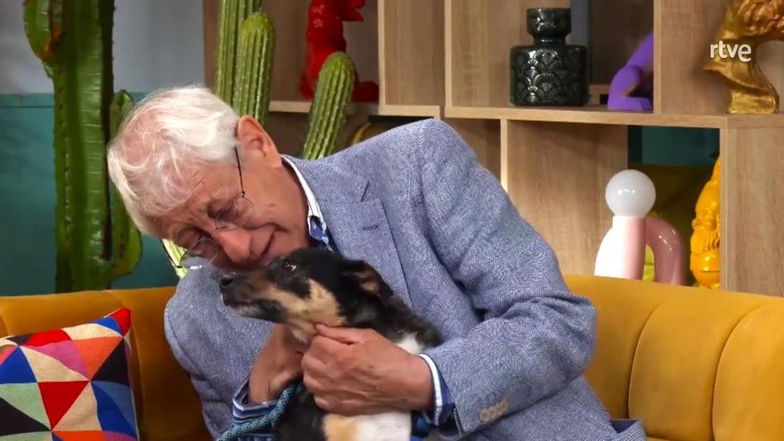 'Dog House' desgarra en el estreno de su segunda temporada en RTVE con el caso del perro Curro y su dueño: "Perdóname"