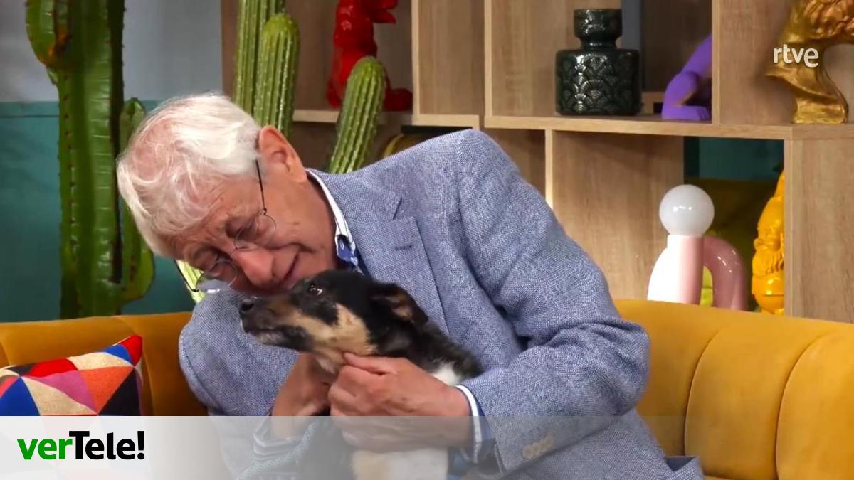 ‘Casa del Perro’ se estrena en el estreno de su segunda temporada en RTVE con el caso del perro Curro y su dueño: «Perdóname» ‘Casa del Perro’ se estrena en el estreno de su segunda temporada en RTVE con el caso del perro Curro y su dueño: «Perdóname»