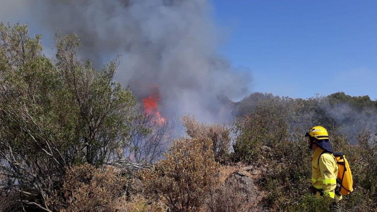 Medios del Infoca actuando en un incendio, en una imagen de archivo | INFOCA