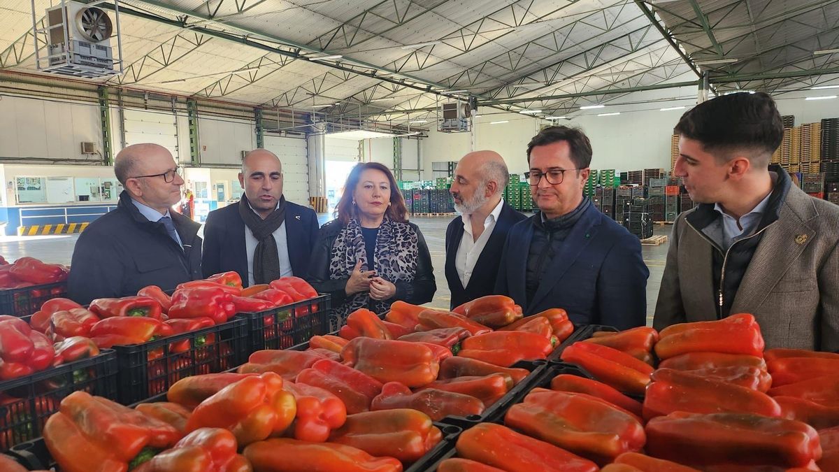 Archivo - La consejera Carmen Crespo durante su visita a una empresa agrícola de El Ejido (Almería) en una imagen de archivo.