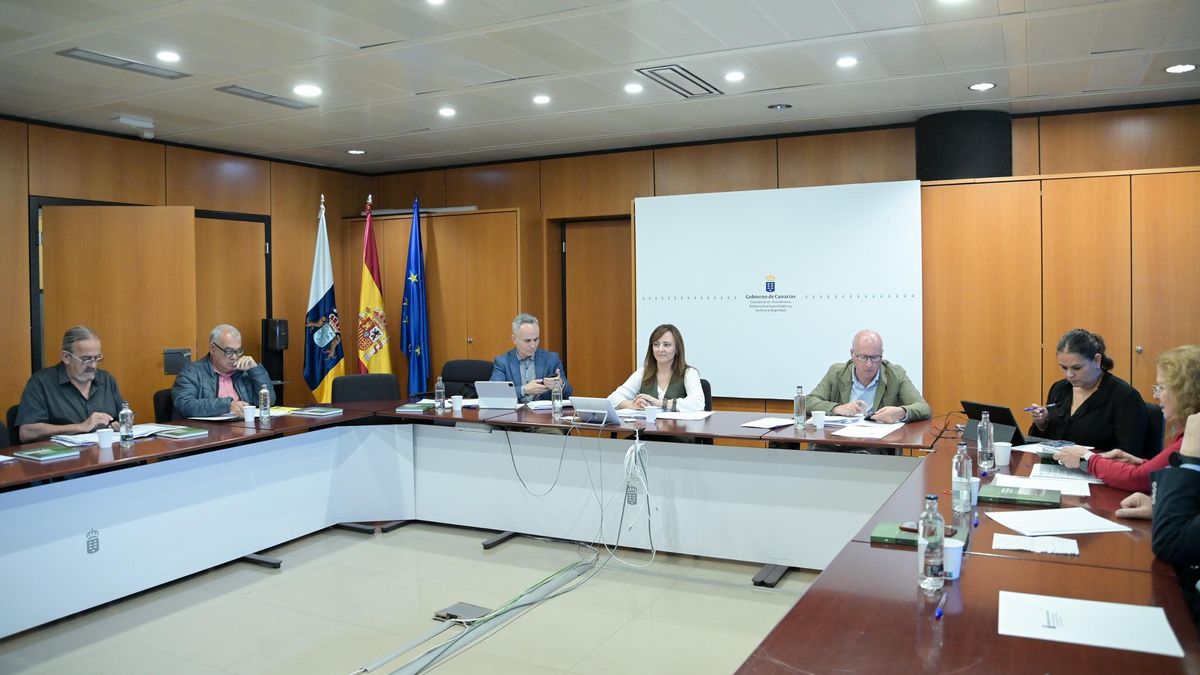 La consejera de Presidencia, Administraciones Públicas, Justicia y Seguridad, Nieves Lady Barreto, preside la reunión de la Comisión Técnica de Memoria Histórica.