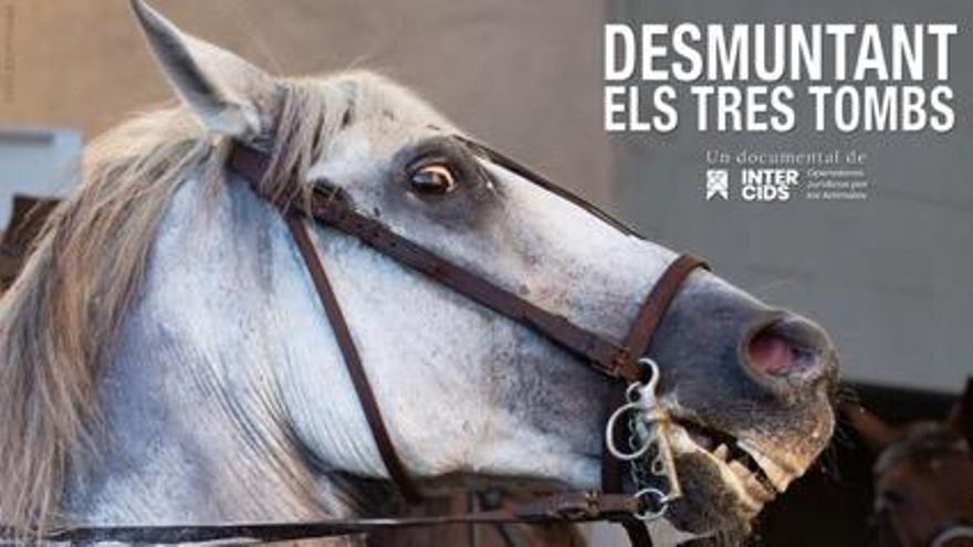 Documental 'Desmuntant els Tres Tombs': mirar la realidad y cuestionar la tradición